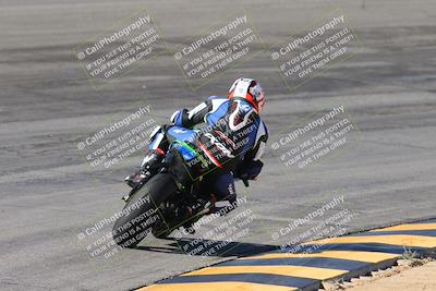 media/Feb-04-2024-SoCal Trackdays (Sun) [[91d6515b1d]]/4-Bowl Backside (11am)/